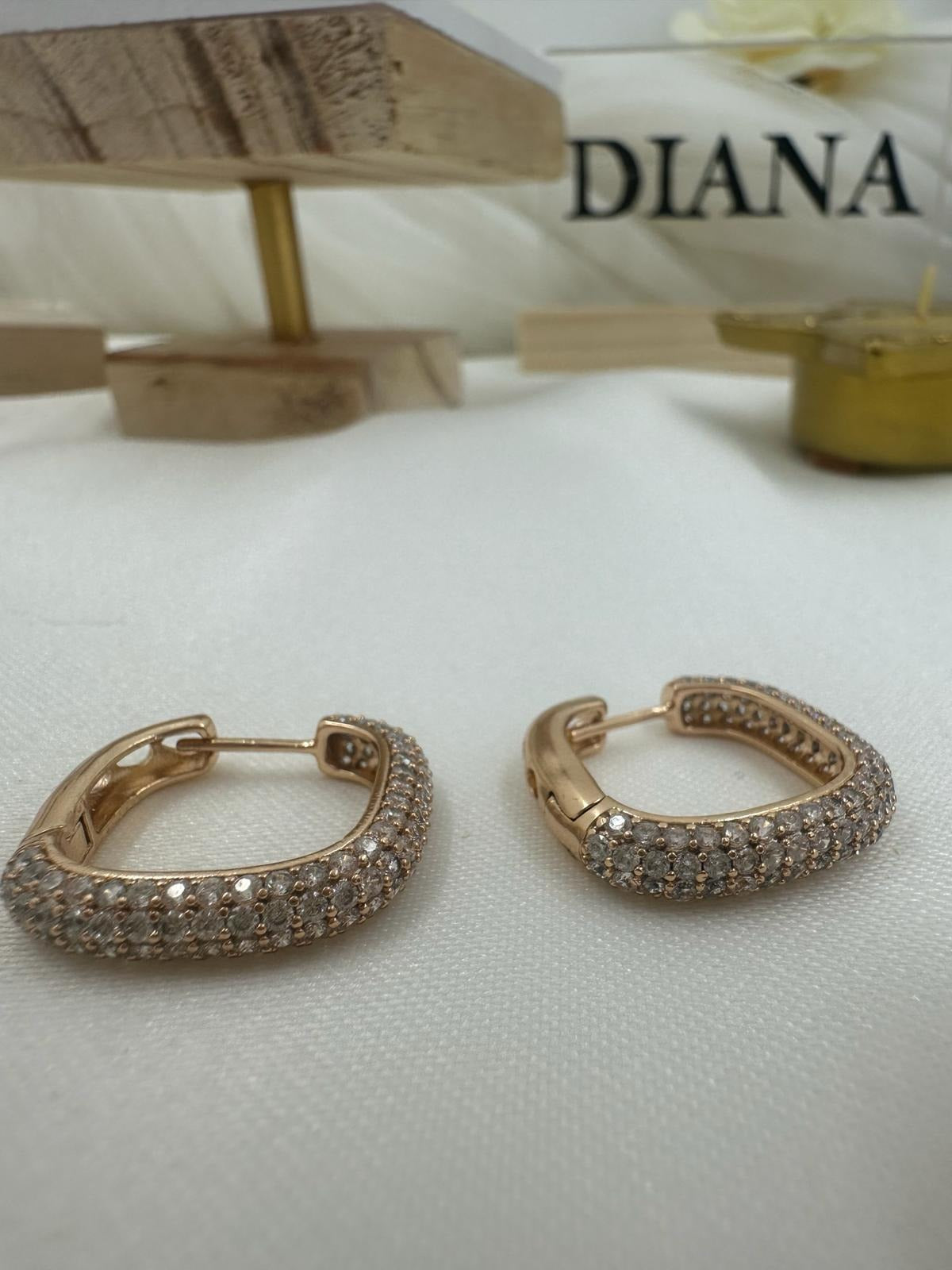 Gilded Harmony Earrings - Diana & Jewel