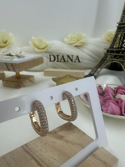 Gilded Harmony Earrings - Diana & Jewel